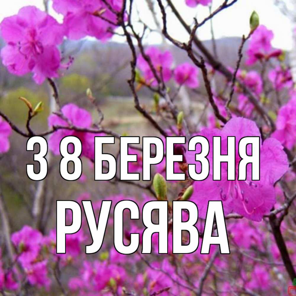 Открытка на каждый день з підписом, Русява З 8 БЕРЕЗНЯ международный женский день Прикольна листівка з побажанням онлайн скачати безкоштовно 