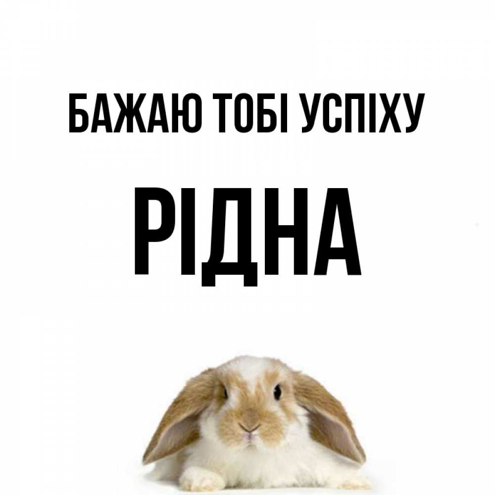 Открытка на каждый день з підписом, Рідна Бажаю тобі успіху открытки с произвольным текстом который можно вставить в открытку и создать ее самостоятельно бесплатно онлайн Прикольна листівка з побажанням онлайн скачати безкоштовно 