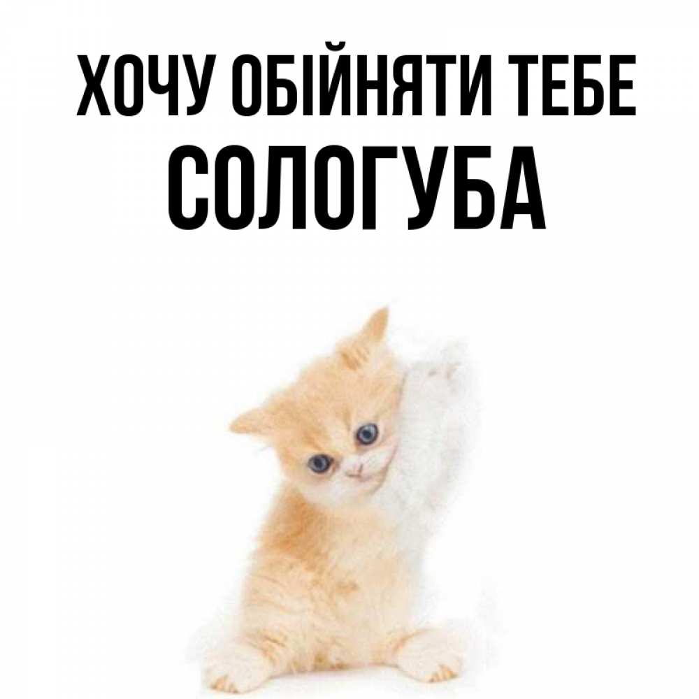 Открытка на каждый день з підписом, Сологуба Хочу обійняти тебе я хочу очень скорее обнимаешек Прикольна листівка з побажанням онлайн скачати безкоштовно 