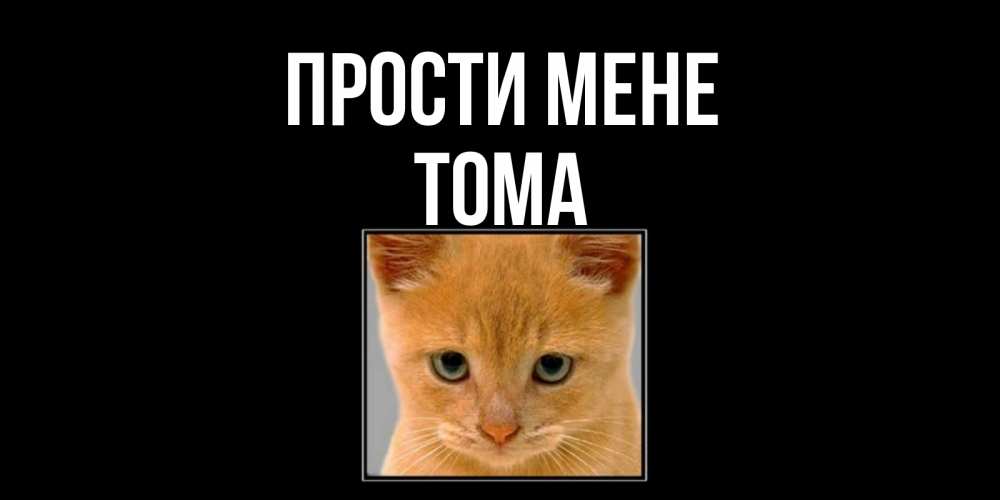 Открытка на каждый день з підписом, Тома Прости мене рыжий грустный кот просит прощения Прикольна листівка з побажанням онлайн скачати безкоштовно 