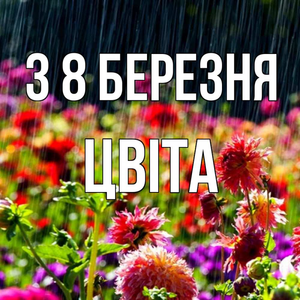 Открытка на каждый день з підписом, Цвіта З 8 БЕРЕЗНЯ цветы под дождиком к международному женскому дню Прикольна листівка з побажанням онлайн скачати безкоштовно 
