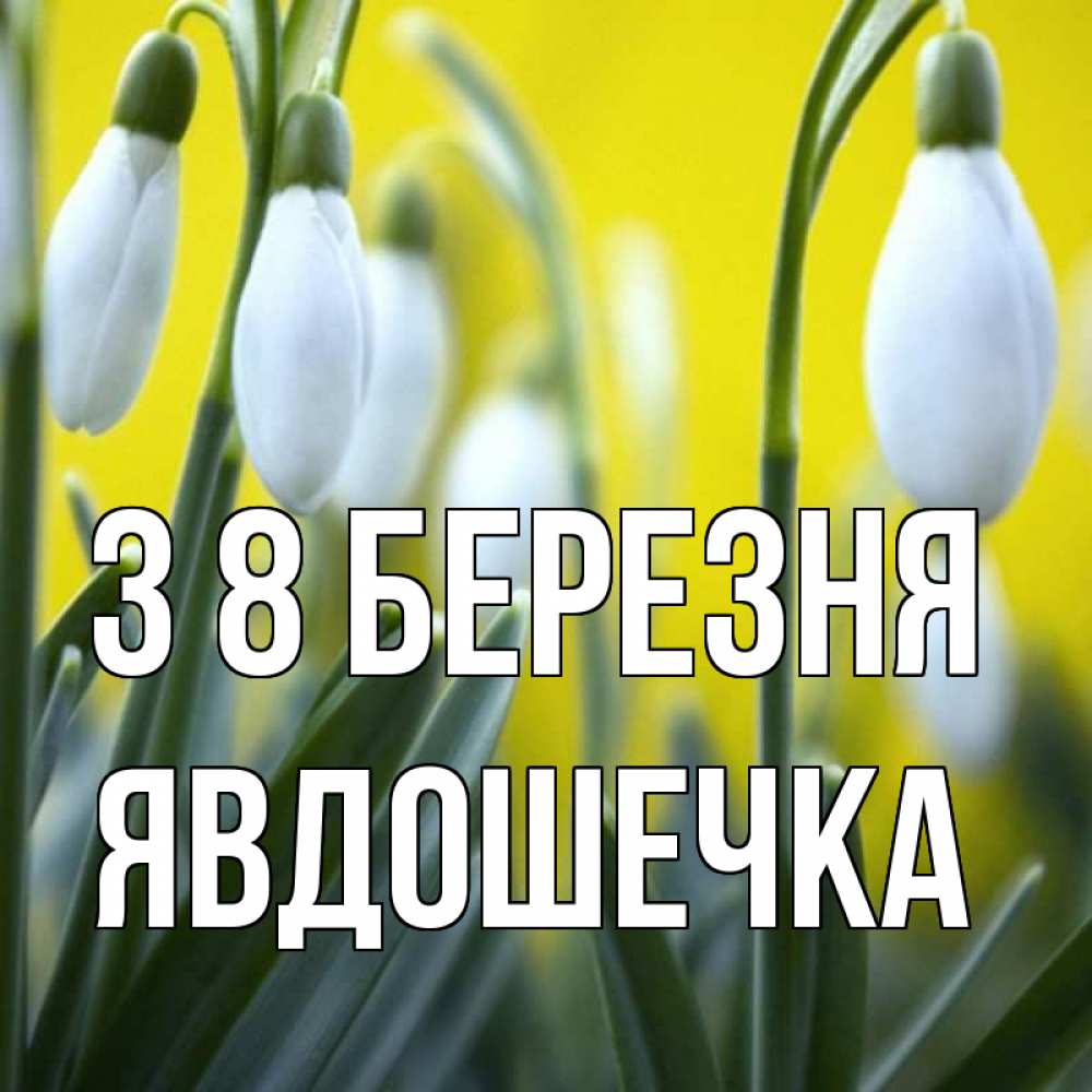 Открытка на каждый день з підписом, Явдошечка З 8 БЕРЕЗНЯ весенние цветы Прикольна листівка з побажанням онлайн скачати безкоштовно 
