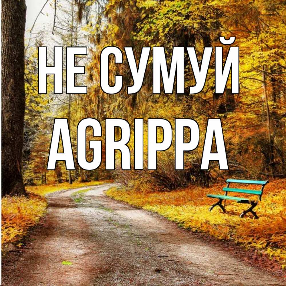 Открытка на каждый день з підписом, Agrippa Не сумуй зеленая лавочка Прикольна листівка з побажанням онлайн скачати безкоштовно 