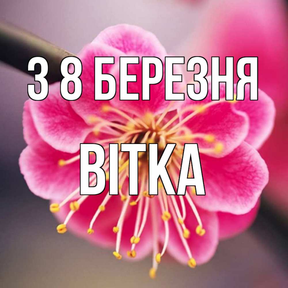 Открытка на каждый день з підписом, Вітка З 8 БЕРЕЗНЯ цветы Прикольна листівка з побажанням онлайн скачати безкоштовно 