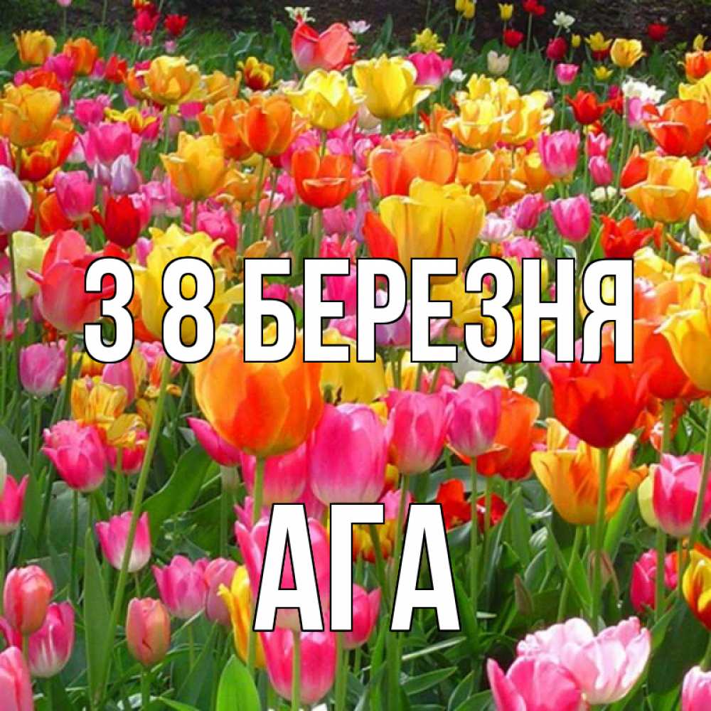 Открытка на каждый день з підписом, Ага З 8 БЕРЕЗНЯ на международный женский день Прикольна листівка з побажанням онлайн скачати безкоштовно 