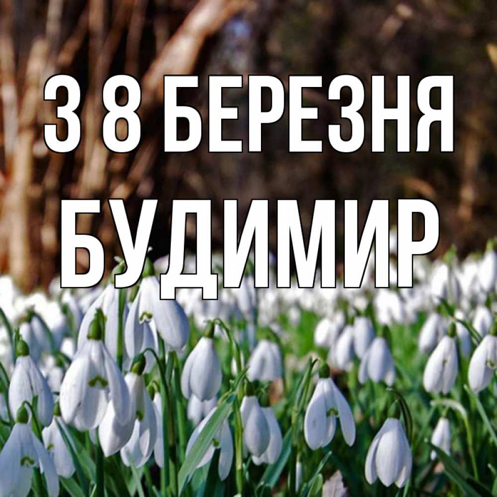 Открытка на каждый день з підписом, Будимир З 8 БЕРЕЗНЯ с подснежниками 1 Прикольна листівка з побажанням онлайн скачати безкоштовно 