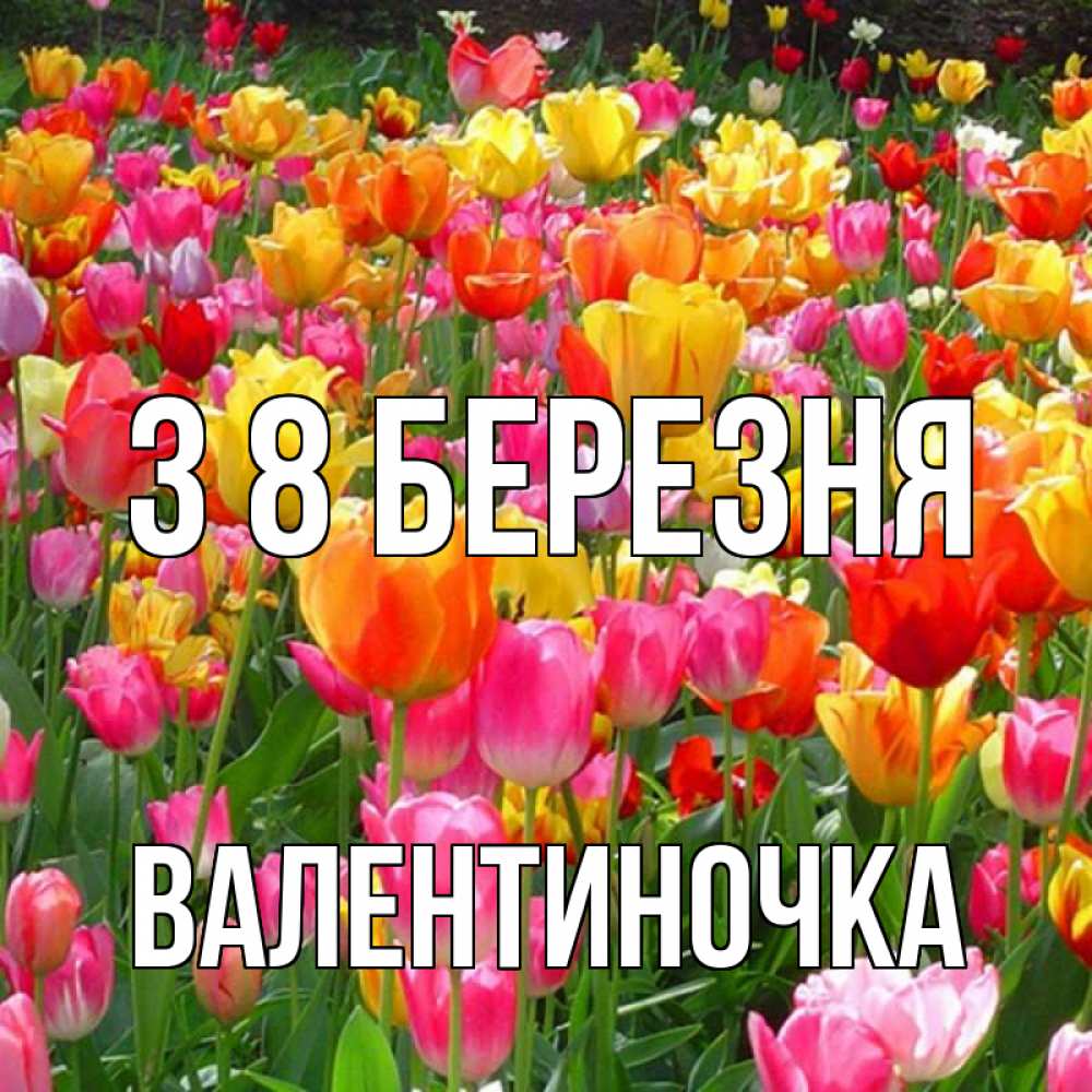 Открытка на каждый день з підписом, Валентиночка З 8 БЕРЕЗНЯ на международный женский день Прикольна листівка з побажанням онлайн скачати безкоштовно 