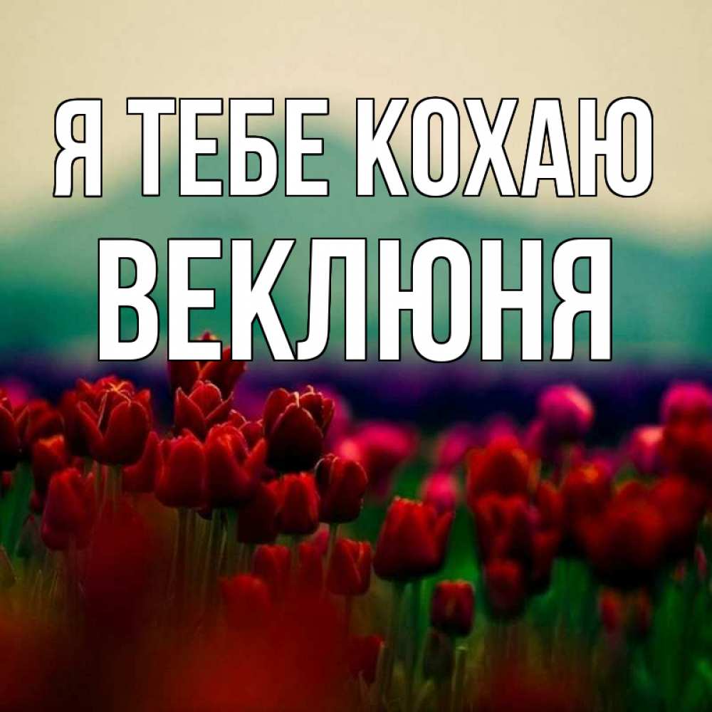 Открытка на каждый день з підписом, Веклюня Я тебе кохаю тюльпаны 4 Прикольна листівка з побажанням онлайн скачати безкоштовно 