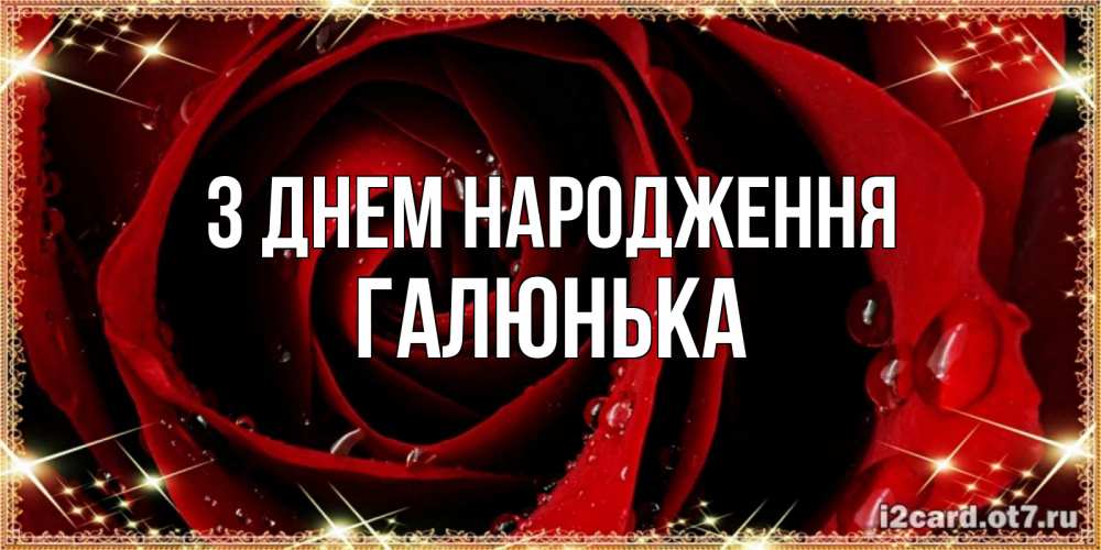 Открытка на каждый день з підписом, Галюнька З Днем народження цветок в росе на день рождения Прикольна листівка з побажанням онлайн скачати безкоштовно 