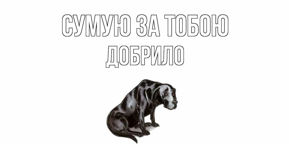Открытка на каждый день з підписом, Добрило Сумую за тобою я по тебе скучаю открытка с собакой Прикольна листівка з побажанням онлайн скачати безкоштовно 