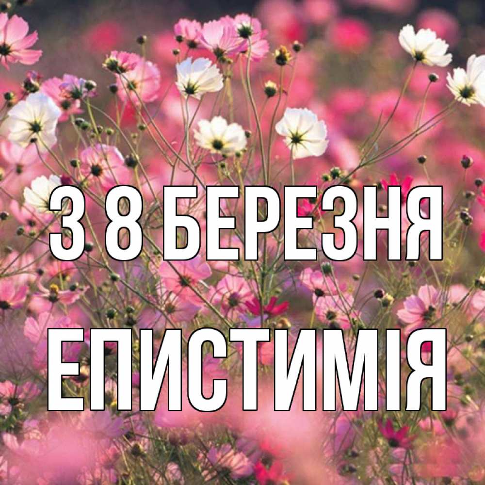 Открытка на каждый день з підписом, Епистимія З 8 БЕРЕЗНЯ красиво 1 Прикольна листівка з побажанням онлайн скачати безкоштовно 