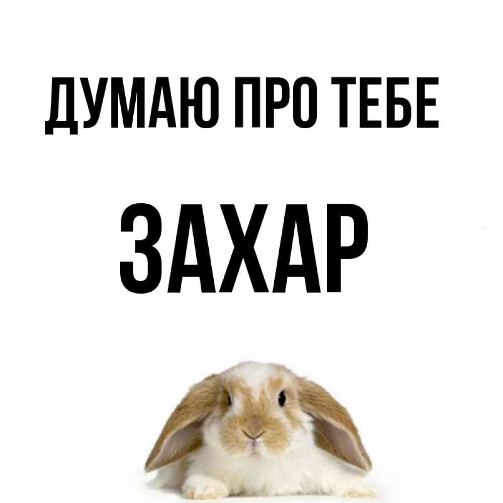 Открытка на каждый день з підписом, Захар Думаю про тебе подписать своими руками онлайн Прикольна листівка з побажанням онлайн скачати безкоштовно 