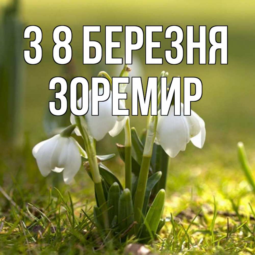 Открытка на каждый день з підписом, Зоремир З 8 БЕРЕЗНЯ ранние цветы 2 Прикольна листівка з побажанням онлайн скачати безкоштовно 