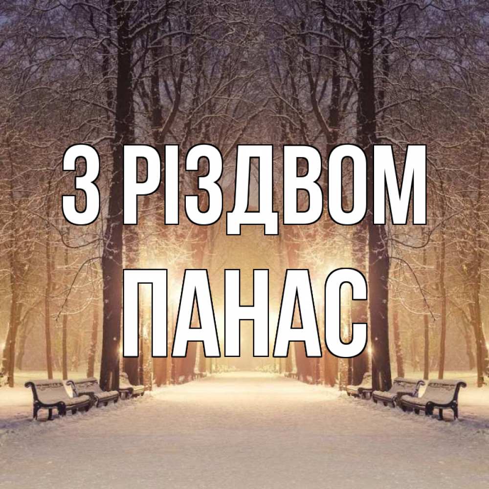 Открытка на каждый день з підписом, Панас З Різдвом зима, парк, фонарь, лес Прикольна листівка з побажанням онлайн скачати безкоштовно 