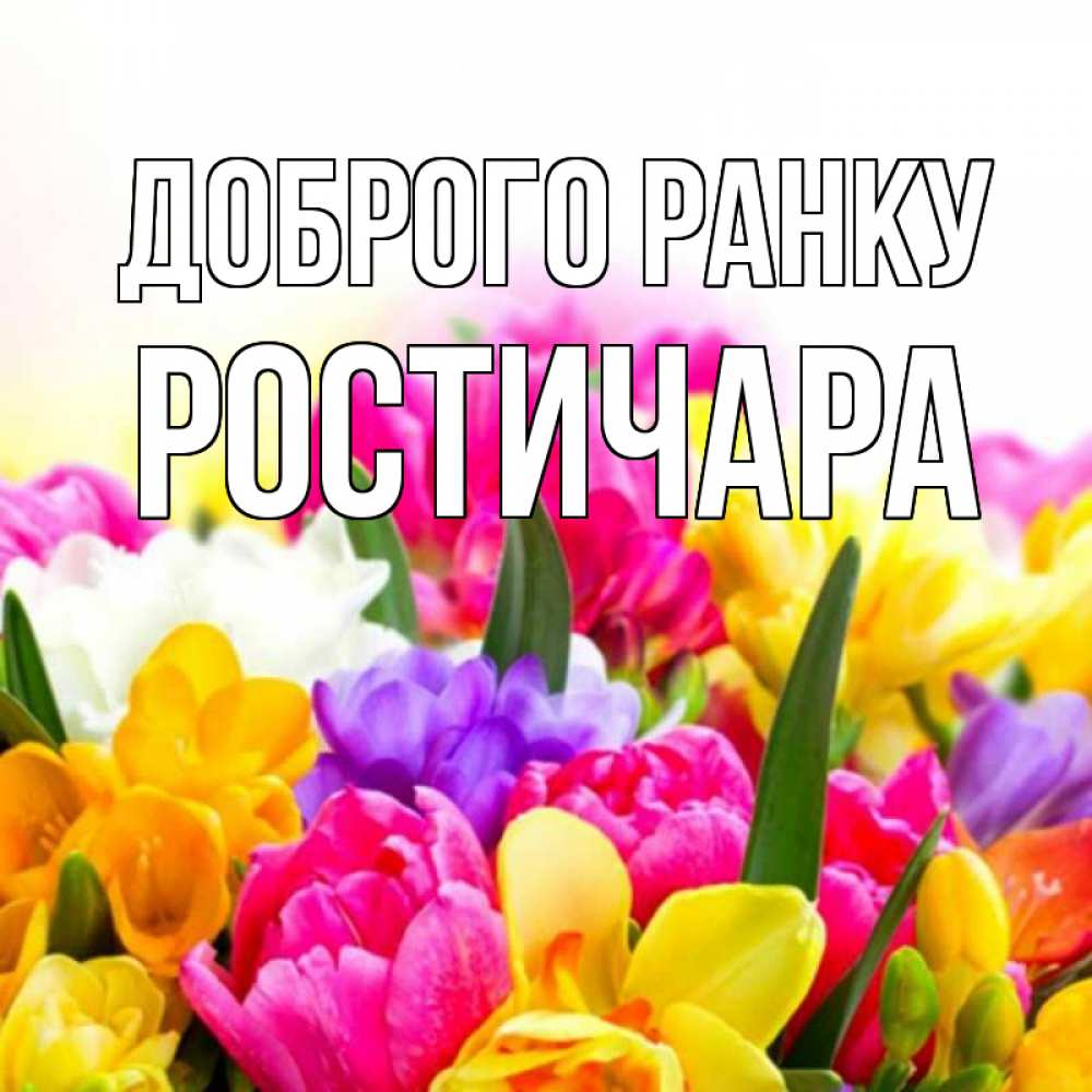 Открытка на каждый день з підписом, Ростичара Доброго ранку создать открытку со свое подписью Прикольна листівка з побажанням онлайн скачати безкоштовно 