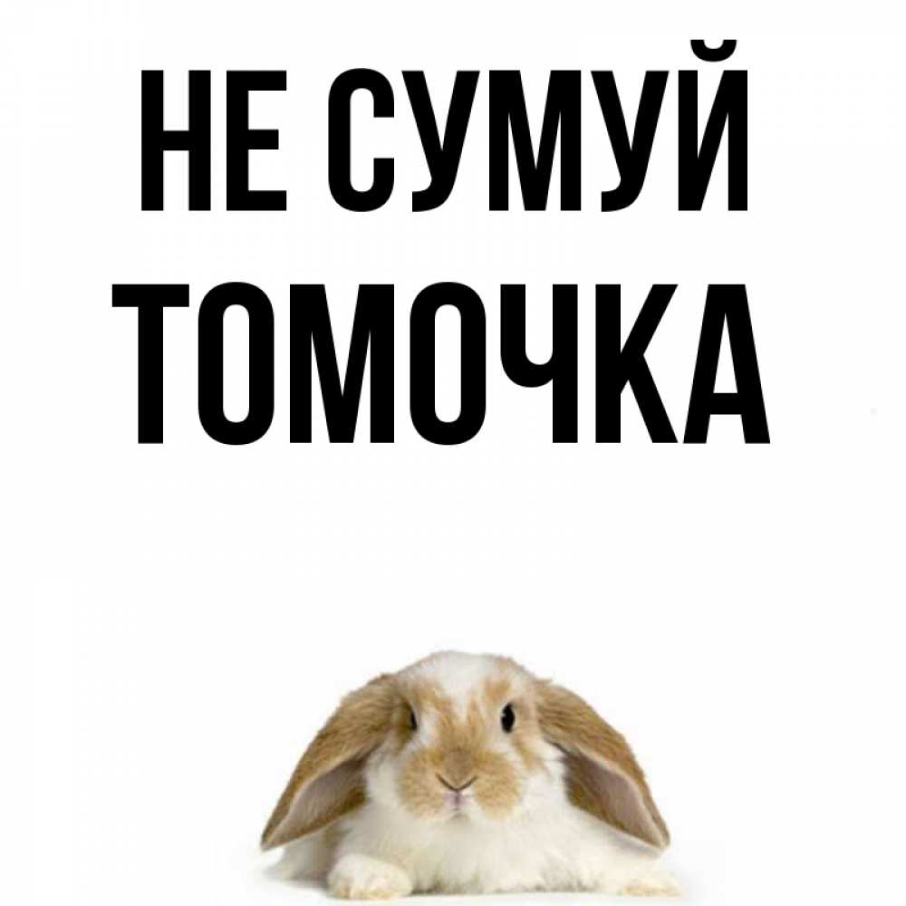Открытка на каждый день з підписом, Томочка Не сумуй коричнево белый заяц с большими ушками Прикольна листівка з побажанням онлайн скачати безкоштовно 