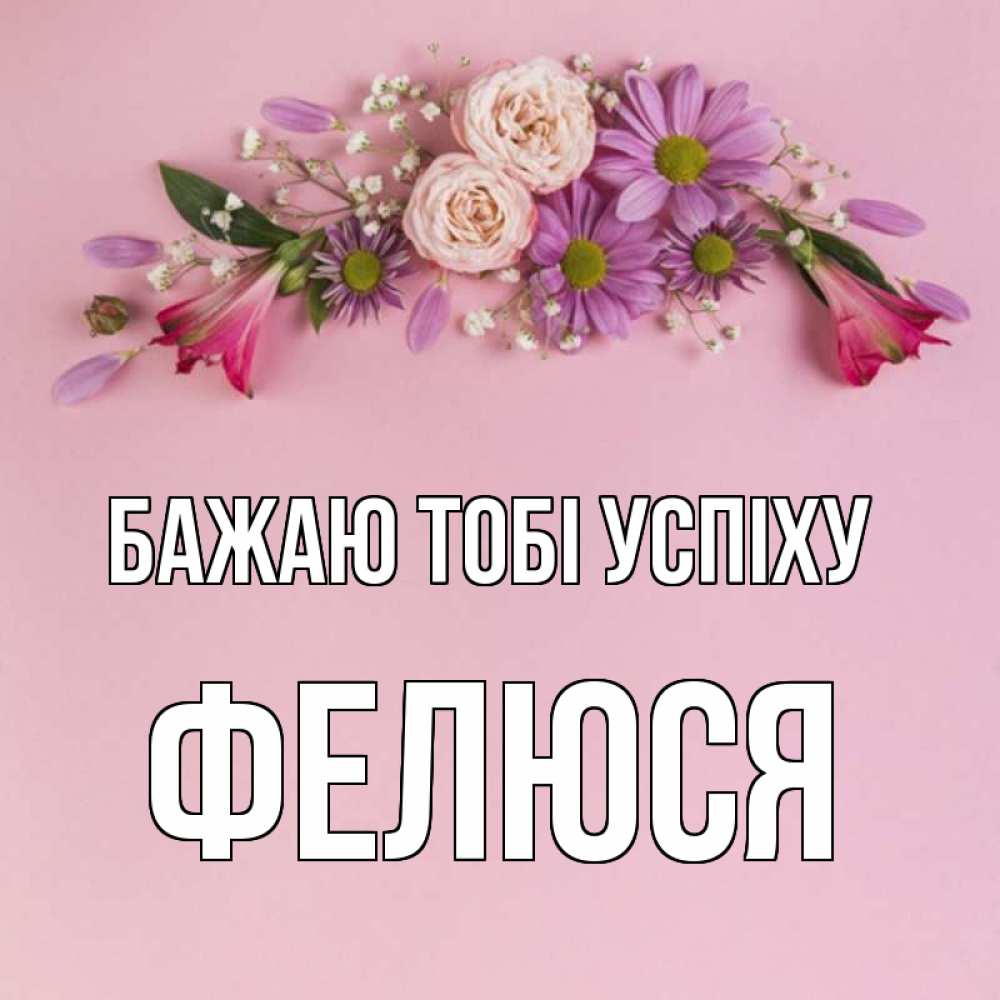 Открытка на каждый день з підписом, Фелюся Бажаю тобі успіху розовый фон Прикольна листівка з побажанням онлайн скачати безкоштовно 