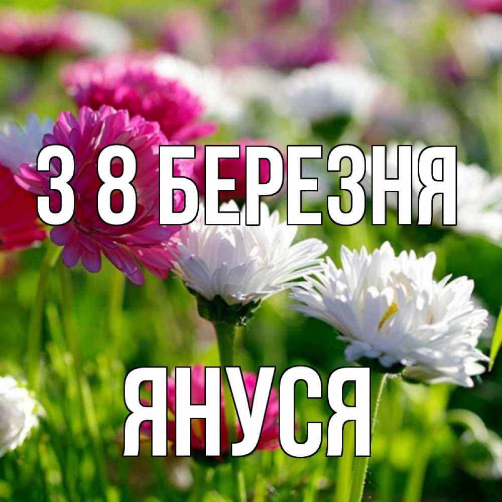 Открытка на каждый день з підписом, Януся З 8 БЕРЕЗНЯ международный женский день 1 Прикольна листівка з побажанням онлайн скачати безкоштовно 