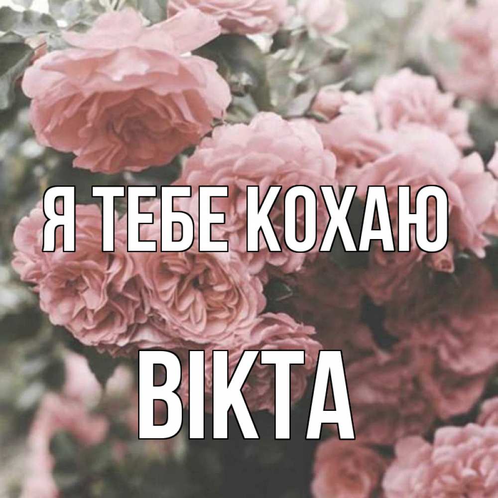 Открытка на каждый день з підписом, Вікта Я тебе кохаю розы 3 Прикольна листівка з побажанням онлайн скачати безкоштовно 