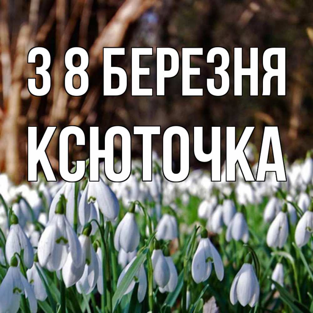 Открытка на каждый день з підписом, Ксюточка З 8 БЕРЕЗНЯ с подснежниками 1 Прикольна листівка з побажанням онлайн скачати безкоштовно 