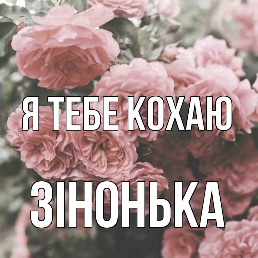 Открытка на каждый день з підписом, Зінонька Я тебе кохаю розы 3 Прикольна листівка з побажанням онлайн скачати безкоштовно 