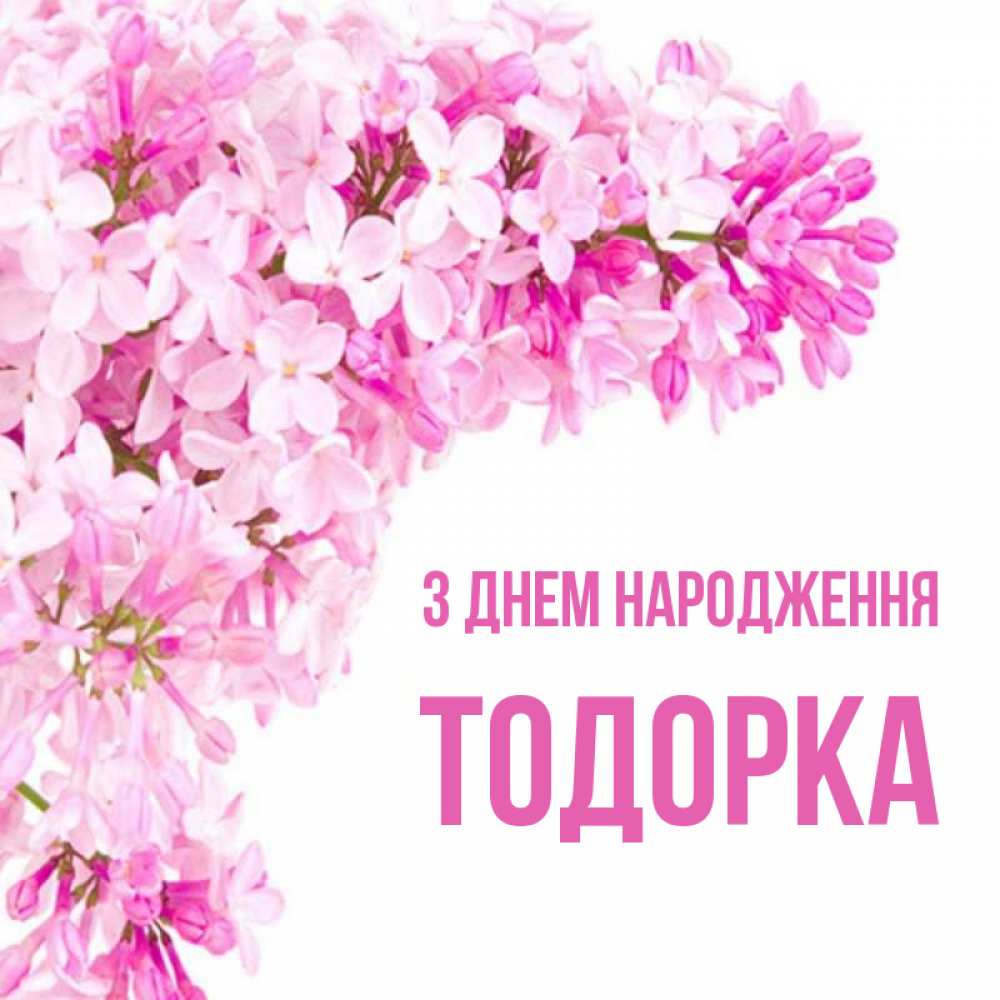 Открытка на каждый день з підписом, Тодорка З Днем народження Сирень на белом фоне Прикольна листівка з побажанням онлайн скачати безкоштовно 