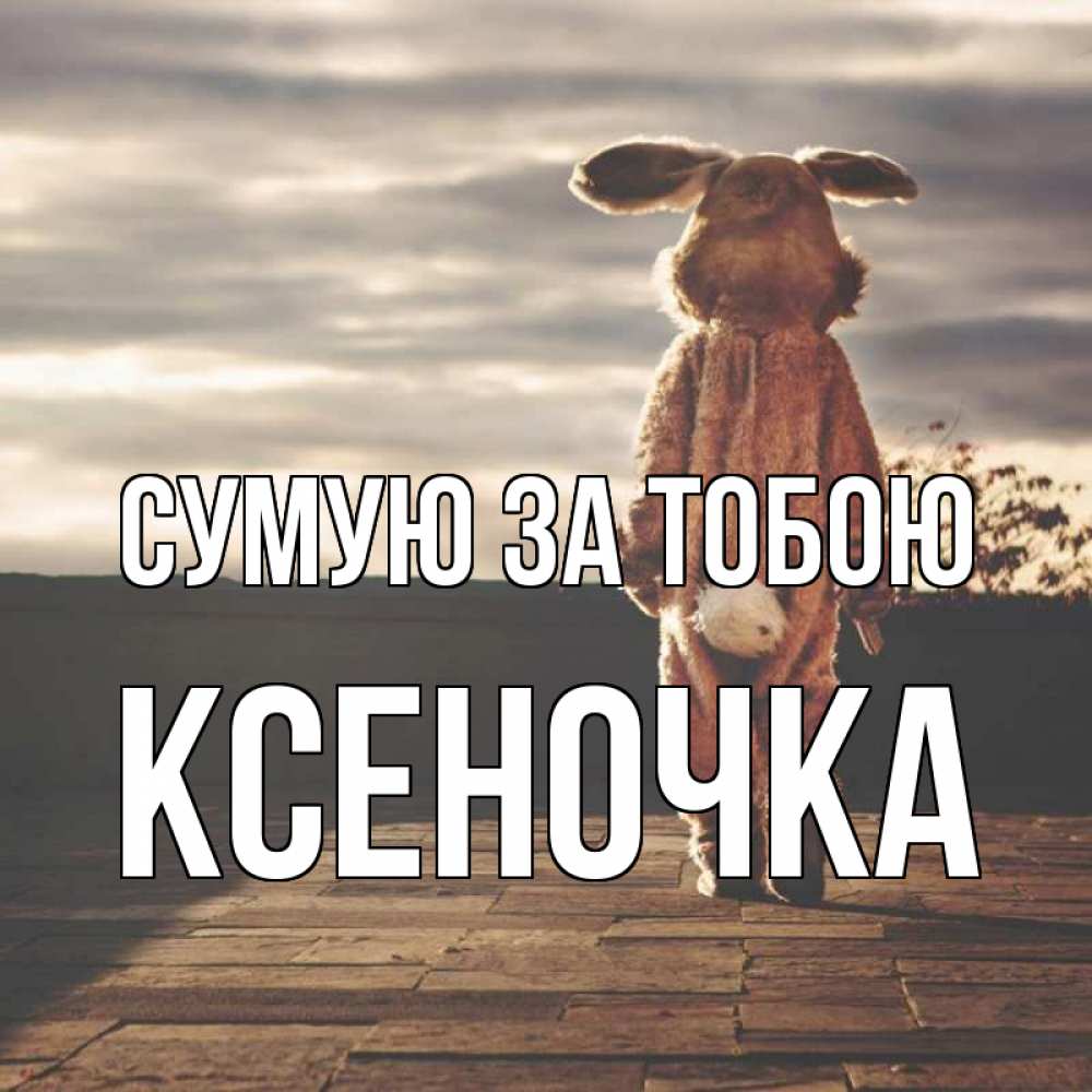 Открытка на каждый день з підписом, Ксеночка Сумую за тобою даже в костюме зайца Прикольна листівка з побажанням онлайн скачати безкоштовно 
