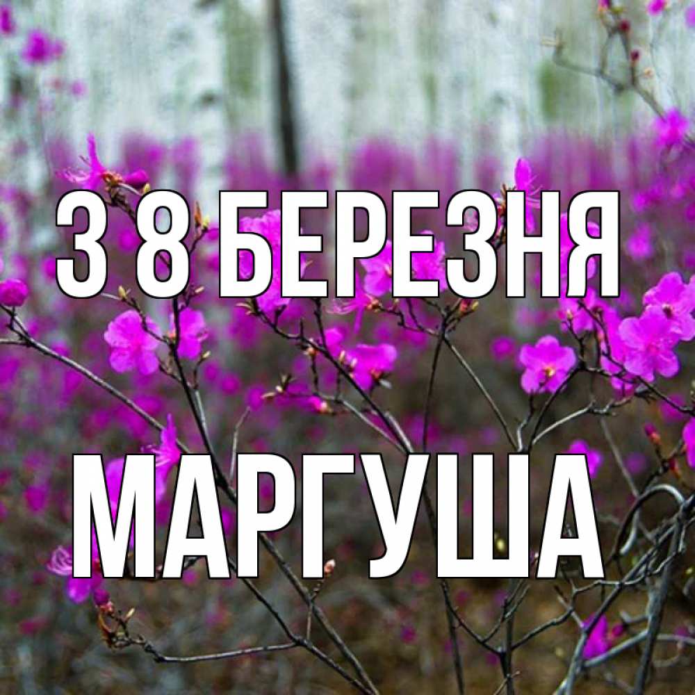 Открытка на каждый день з підписом, Маргуша З 8 БЕРЕЗНЯ дикие цветы Прикольна листівка з побажанням онлайн скачати безкоштовно 
