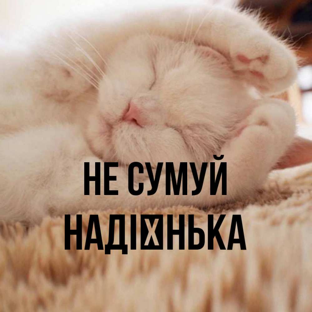 Открытка на каждый день з підписом, Надієнька Не сумуй Котенок спит Прикольна листівка з побажанням онлайн скачати безкоштовно 
