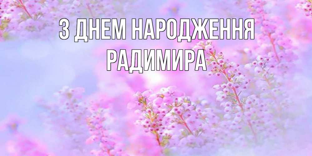 Открытка на каждый день з підписом, Радимира З Днем народження красивая открытка с мелкими цветами Прикольна листівка з побажанням онлайн скачати безкоштовно 