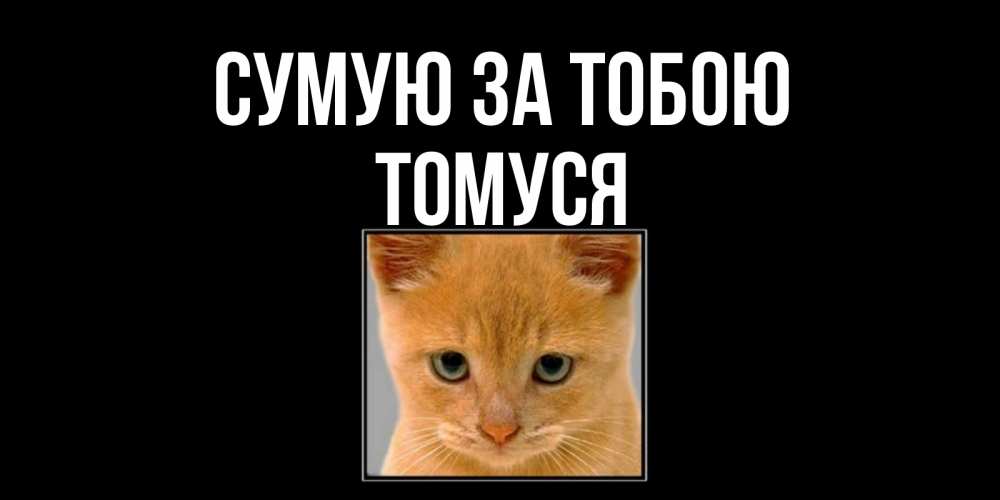 Открытка на каждый день з підписом, Томуся Сумую за тобою открытки рыжий котенок скучает по тебе Прикольна листівка з побажанням онлайн скачати безкоштовно 