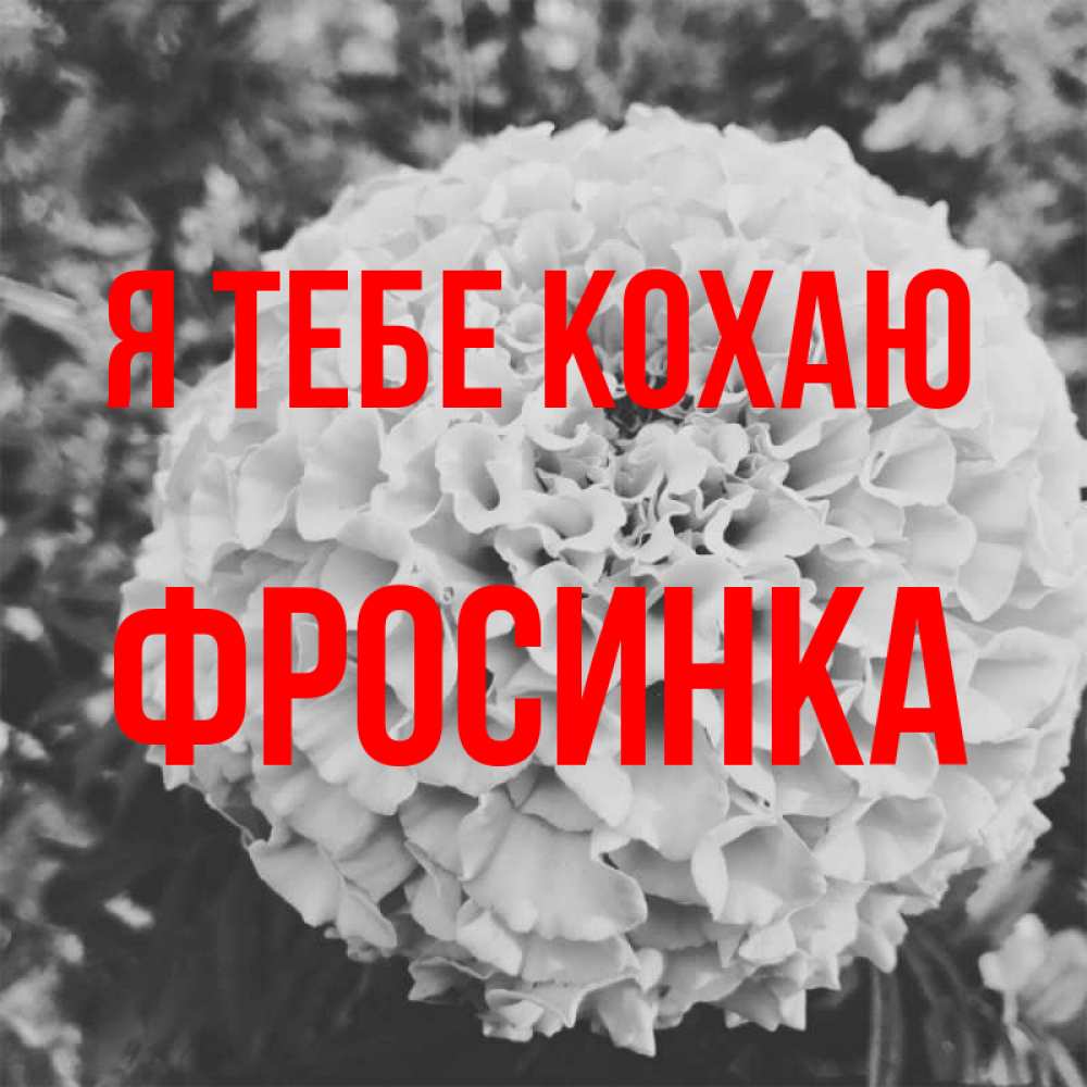Открытка на каждый день з підписом, Фросинка Я тебе кохаю подпись Прикольна листівка з побажанням онлайн скачати безкоштовно 