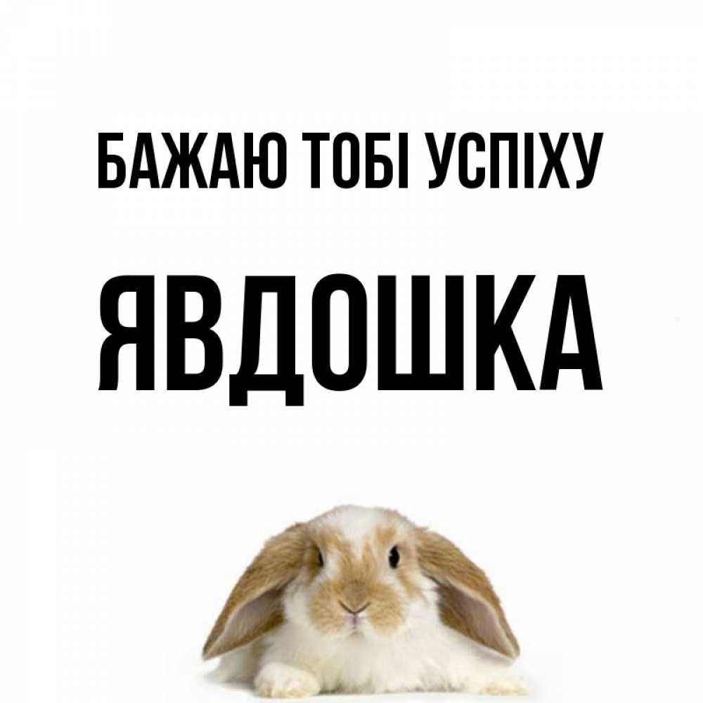Открытка на каждый день з підписом, Явдошка Бажаю тобі успіху открытки с произвольным текстом который можно вставить в открытку и создать ее самостоятельно бесплатно онлайн Прикольна листівка з побажанням онлайн скачати безкоштовно 
