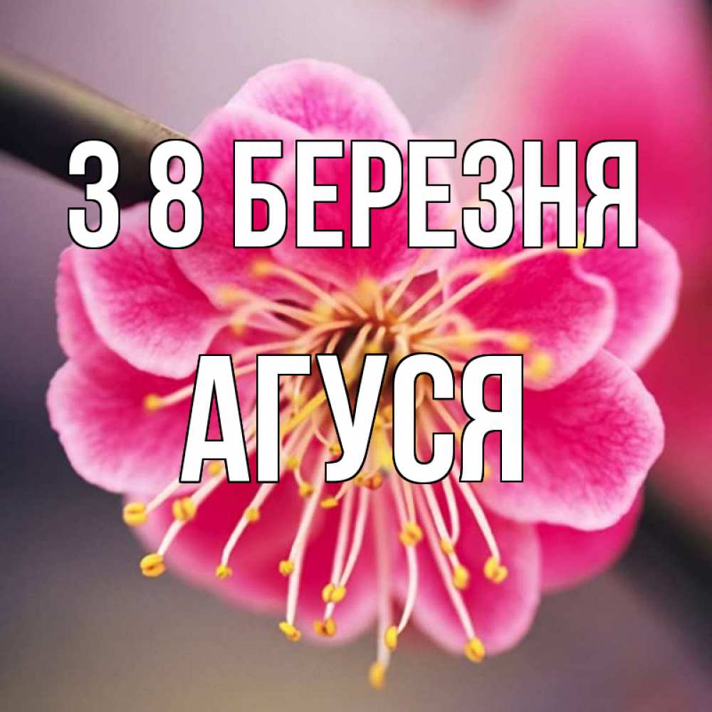 Открытка на каждый день з підписом, Агуся З 8 БЕРЕЗНЯ цветы Прикольна листівка з побажанням онлайн скачати безкоштовно 