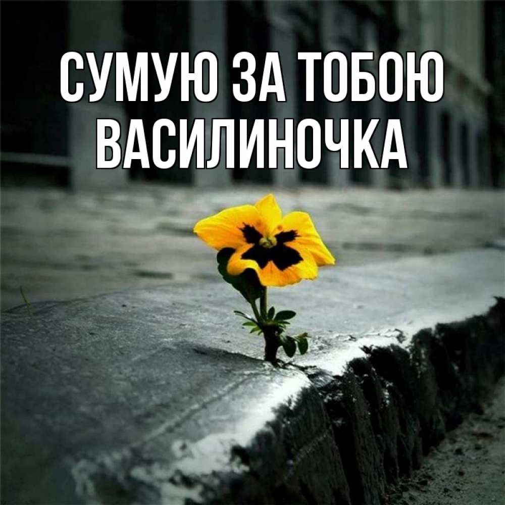 Открытка на каждый день з підписом, Василиночка Сумую за тобою надеюсь будет лучше Прикольна листівка з побажанням онлайн скачати безкоштовно 