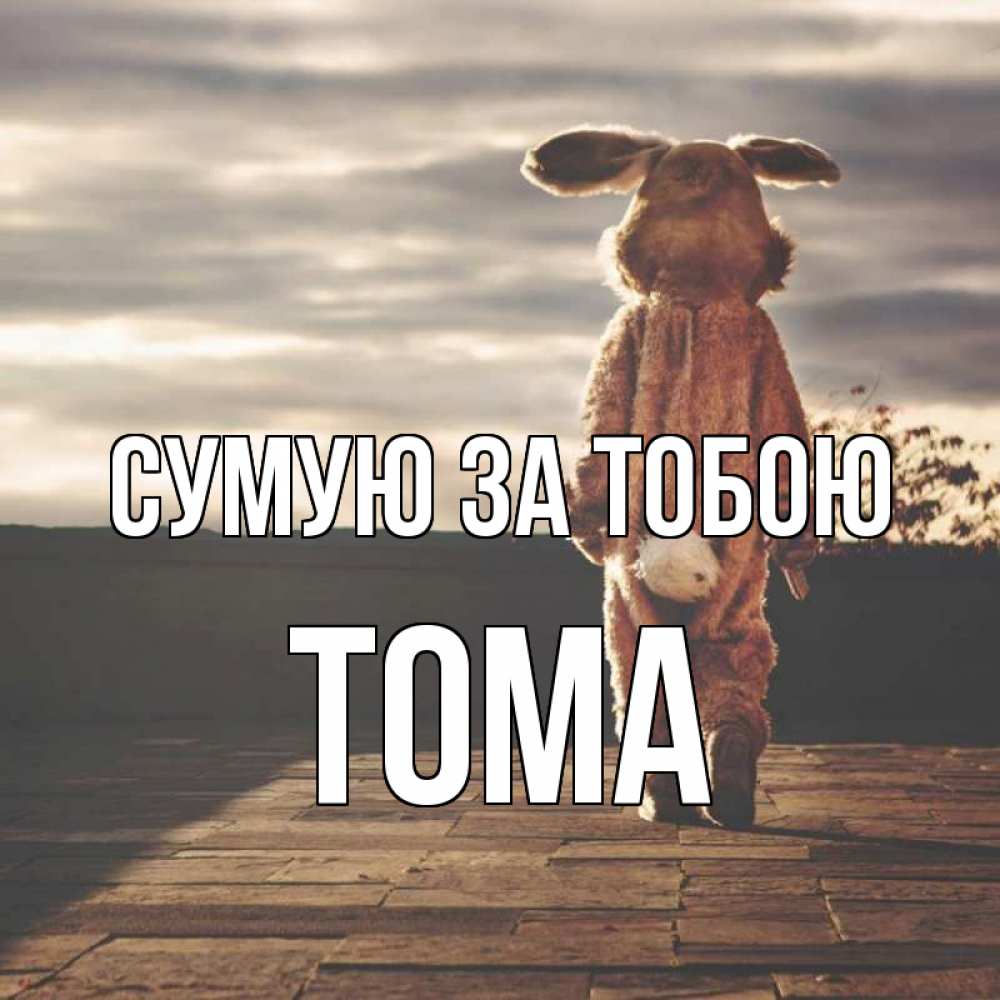 Открытка на каждый день з підписом, Тома Сумую за тобою даже в костюме зайца Прикольна листівка з побажанням онлайн скачати безкоштовно 