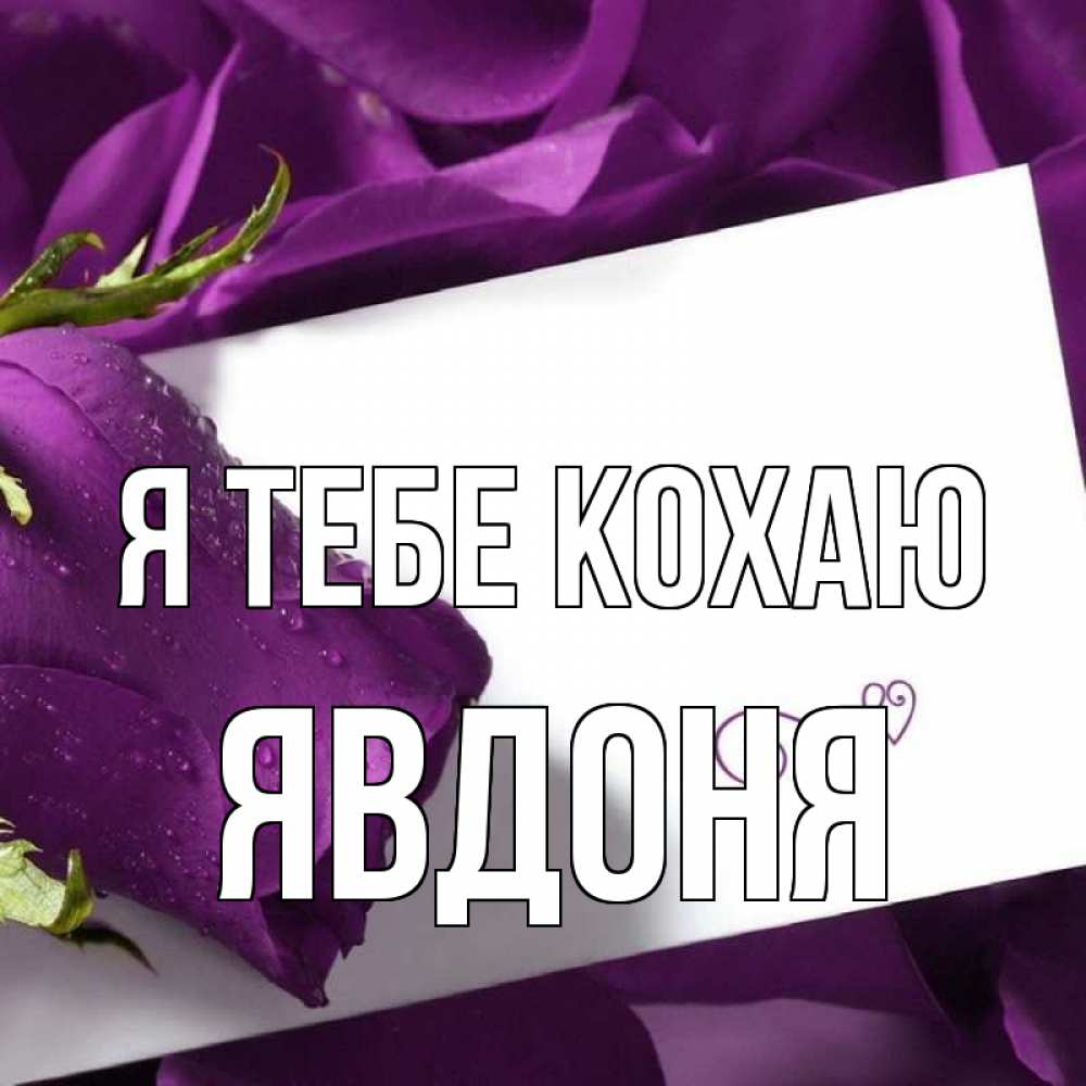 Открытка на каждый день з підписом, Явдоня Я тебе кохаю роза Прикольна листівка з побажанням онлайн скачати безкоштовно 