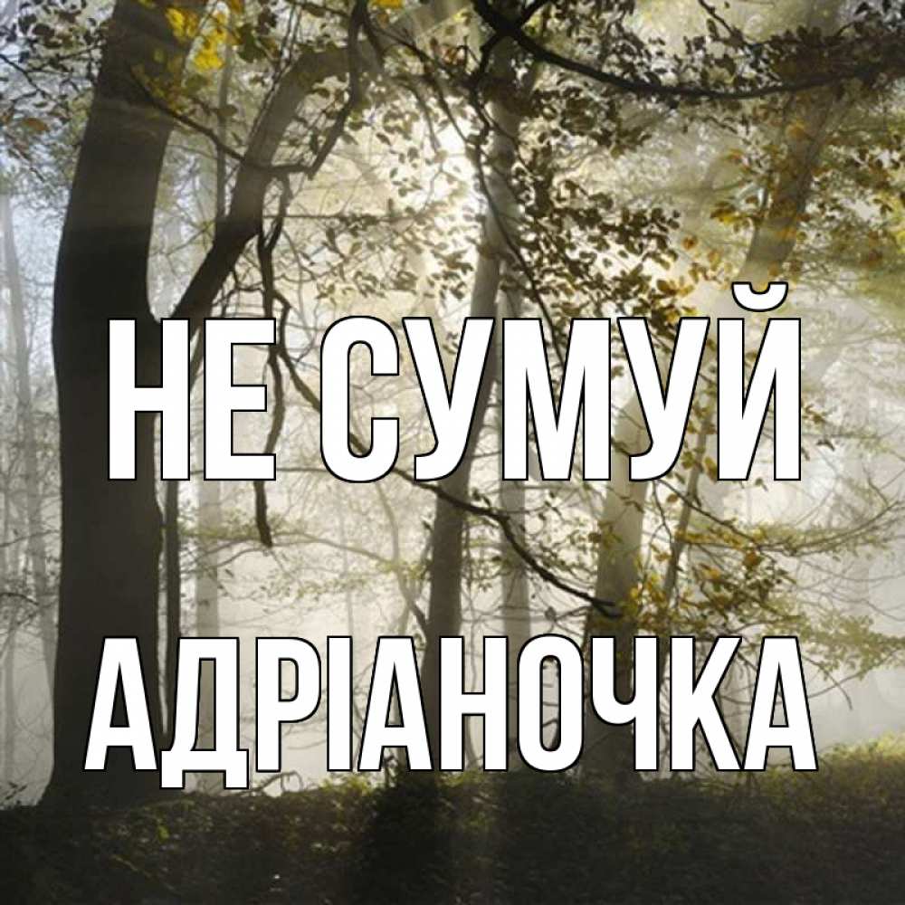 Открытка на каждый день з підписом, Адріаночка Не сумуй лес и свет Прикольна листівка з побажанням онлайн скачати безкоштовно 