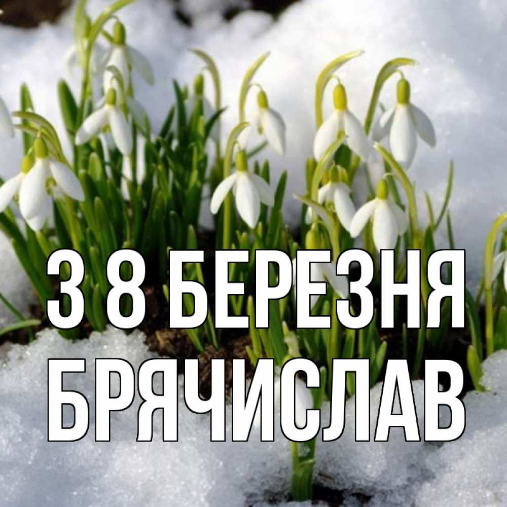 Открытка на каждый день з підписом, Брячислав З 8 БЕРЕЗНЯ цветы весенние Прикольна листівка з побажанням онлайн скачати безкоштовно 