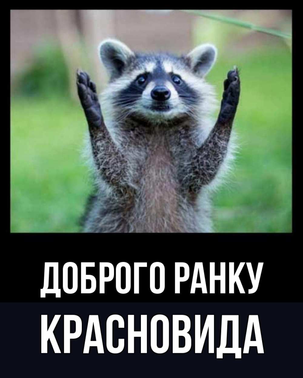 Открытка на каждый день з підписом, Красновида Доброго ранку хорошее настроение утречком Прикольна листівка з побажанням онлайн скачати безкоштовно 