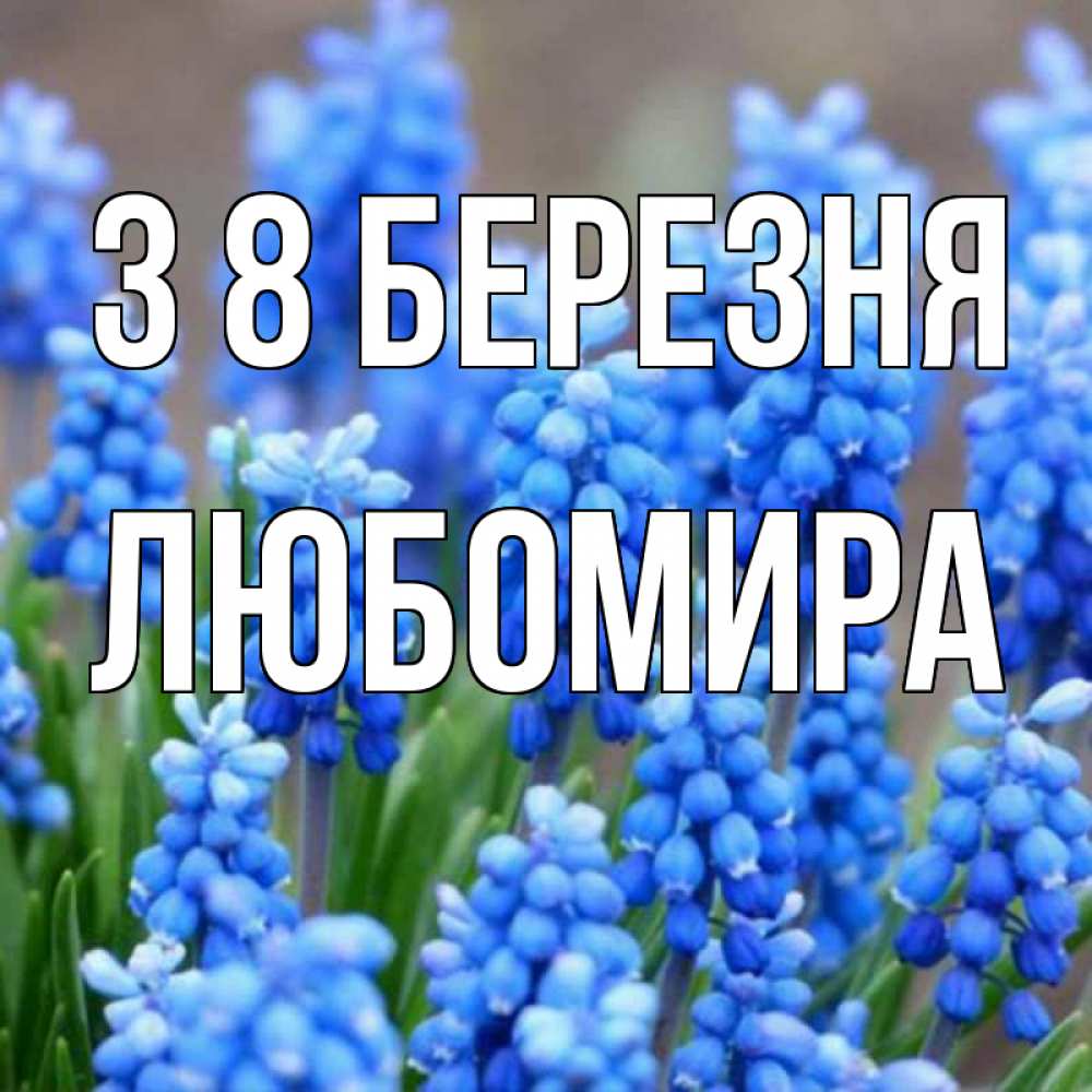 Открытка на каждый день з підписом, Любомира З 8 БЕРЕЗНЯ Поздравительная открытка для женщин с цветами на праздничную дату Прикольна листівка з побажанням онлайн скачати безкоштовно 