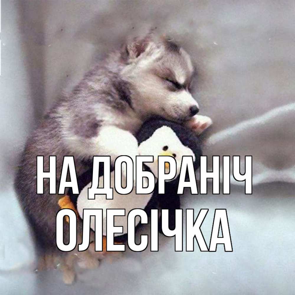 Открытка на каждый день з підписом, Олесічка На добраніч обнимашки щенка и пингвина Прикольна листівка з побажанням онлайн скачати безкоштовно 