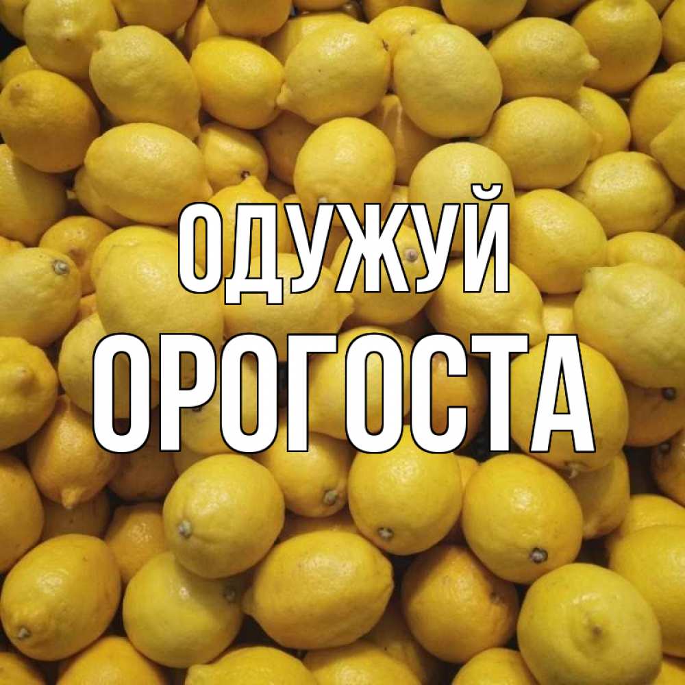 Открытка на каждый день з підписом, Орогоста Одужуй это точно поможет Прикольна листівка з побажанням онлайн скачати безкоштовно 