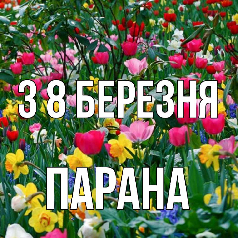 Открытка на каждый день з підписом, Парана З 8 БЕРЕЗНЯ с международным женским днем поздравления для женщины Прикольна листівка з побажанням онлайн скачати безкоштовно 