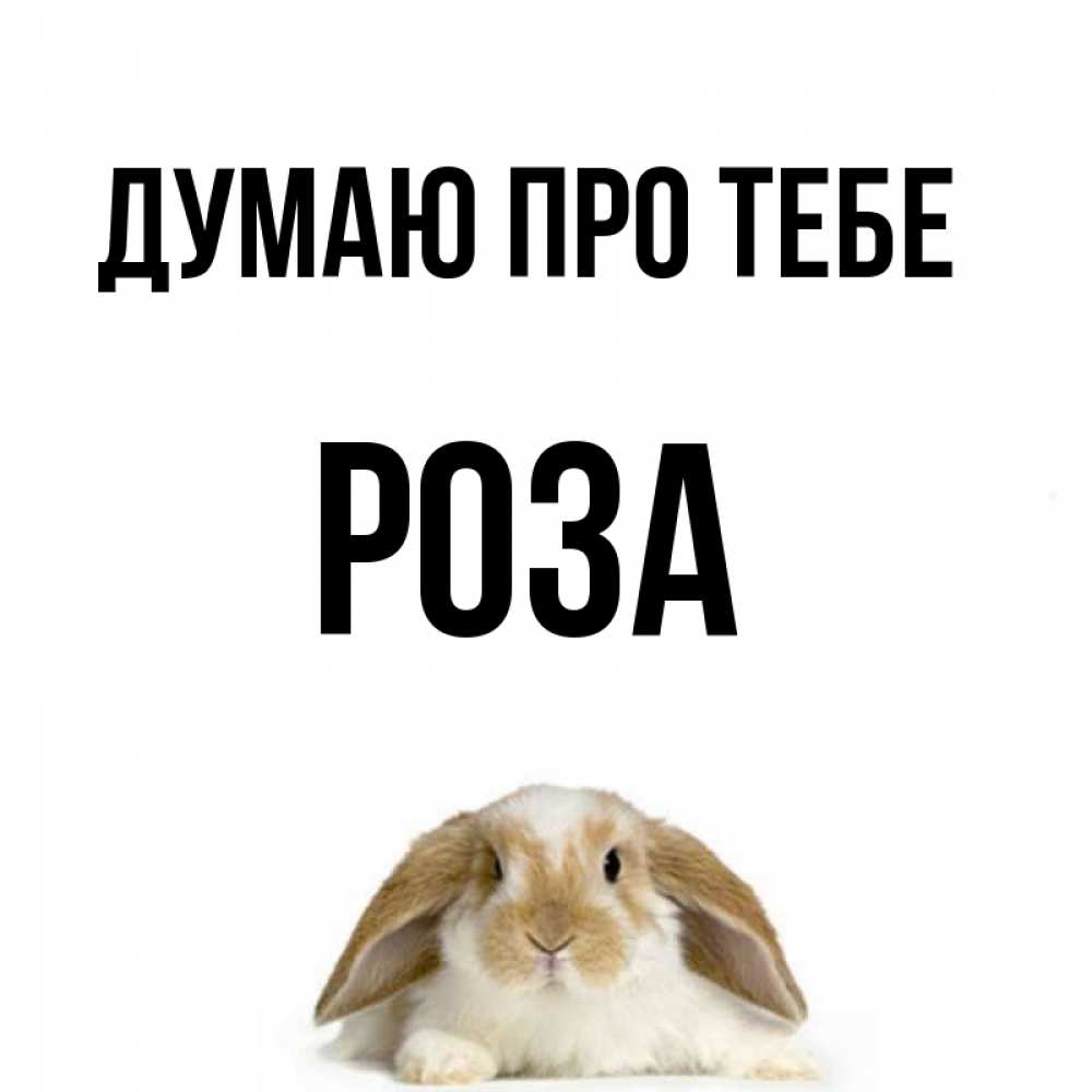 Открытка на каждый день з підписом, Роза Думаю про тебе подписать своими руками онлайн Прикольна листівка з побажанням онлайн скачати безкоштовно 
