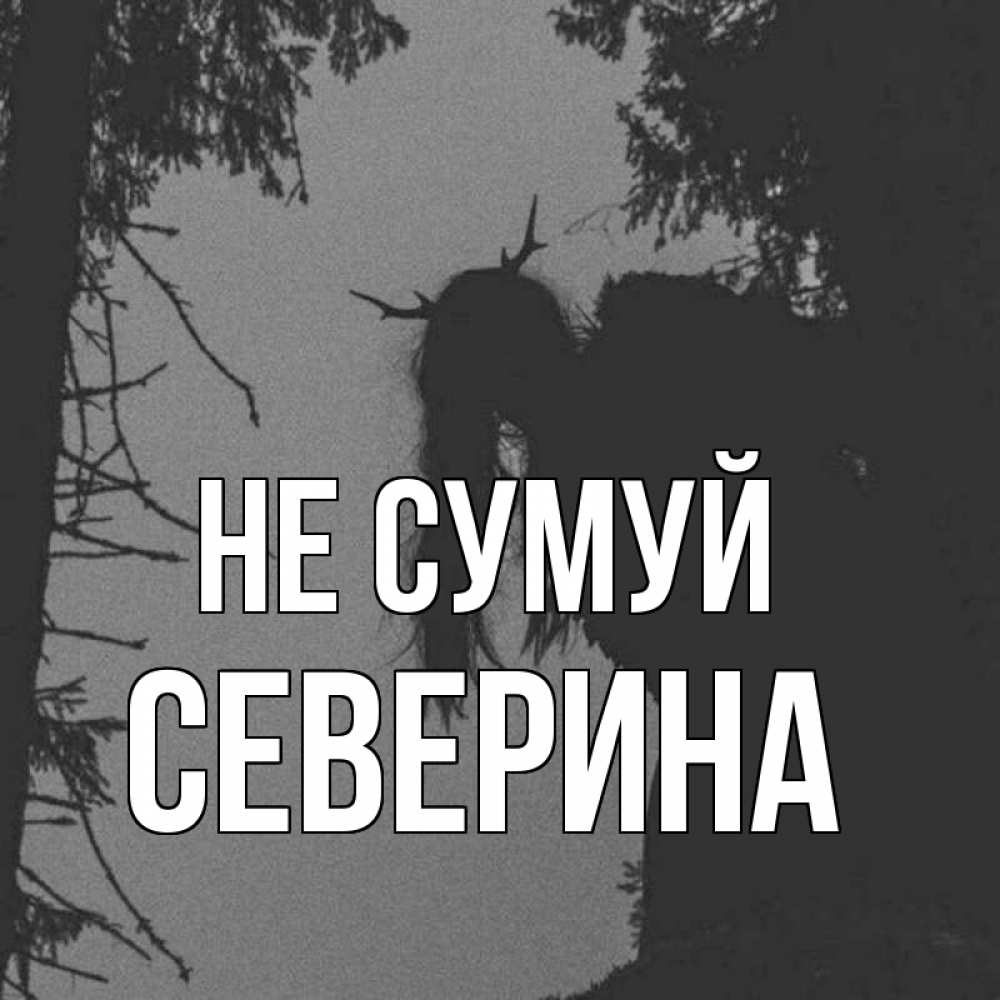 Открытка на каждый день з підписом, Северина Не сумуй чудище лесное Прикольна листівка з побажанням онлайн скачати безкоштовно 