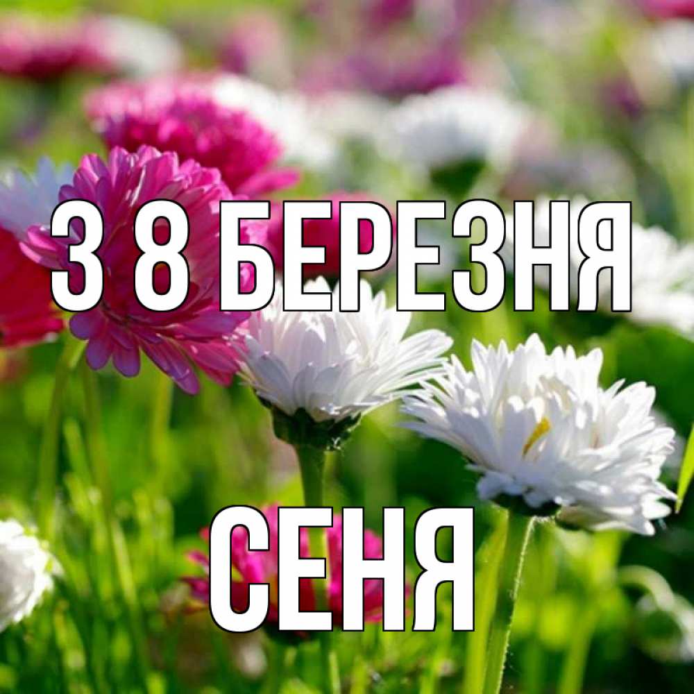 Открытка на каждый день з підписом, Сеня З 8 БЕРЕЗНЯ международный женский день 1 Прикольна листівка з побажанням онлайн скачати безкоштовно 