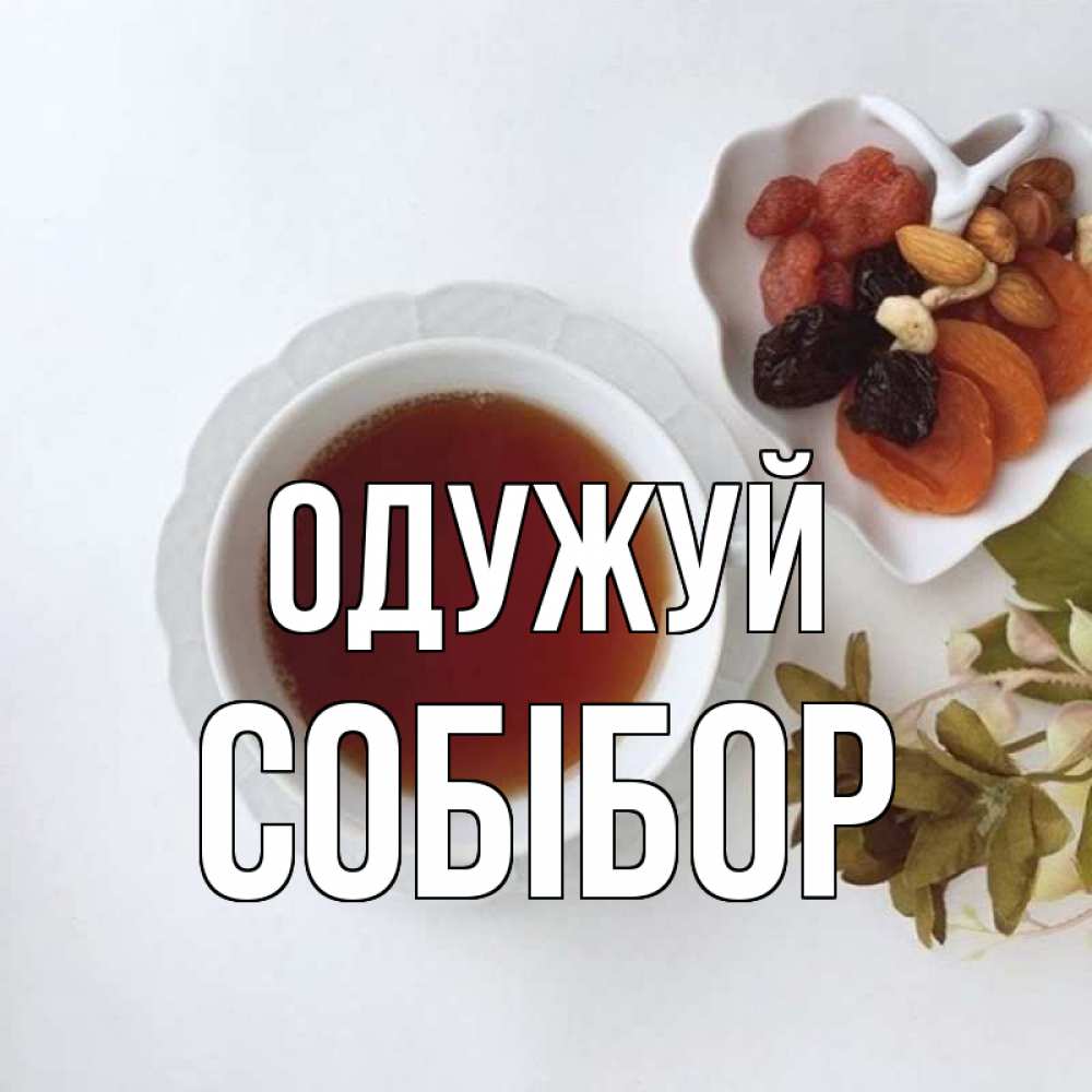 Открытка на каждый день з підписом, Собібор Одужуй неизвестные растения Прикольна листівка з побажанням онлайн скачати безкоштовно 