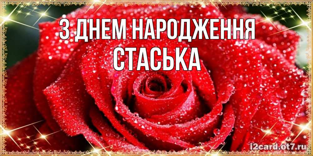 Открытка на каждый день з підписом, Стаська З Днем народження роса и роза. открытка с красивой розой Прикольна листівка з побажанням онлайн скачати безкоштовно 