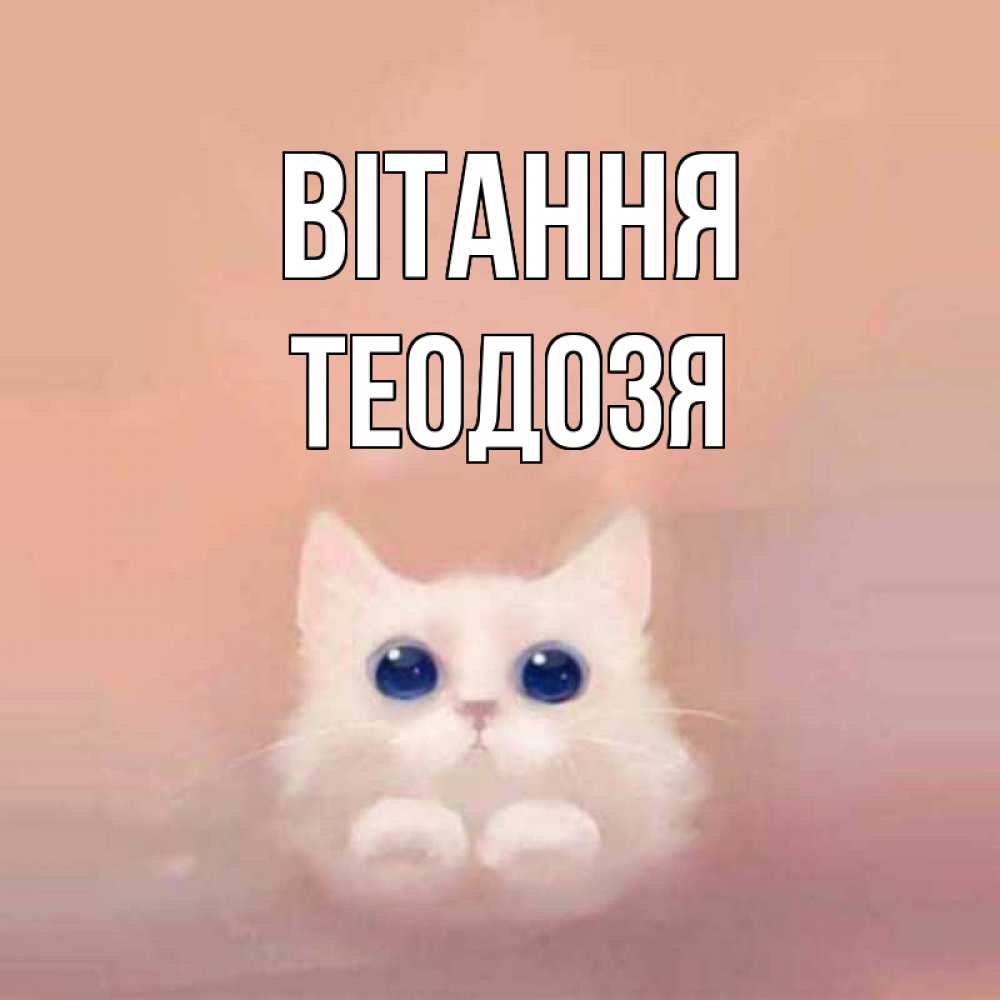 Открытка на каждый день з підписом, Теодозя Вітання котик белый в полете Прикольна листівка з побажанням онлайн скачати безкоштовно 